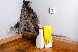 Best Water Damage & Mold Remediation in Ballston Spa, NY